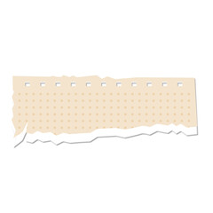 Ripped pieces of white color paper. Ripped paper strips. Vector illustration