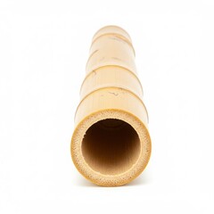 Hollow section of natural bamboo culm