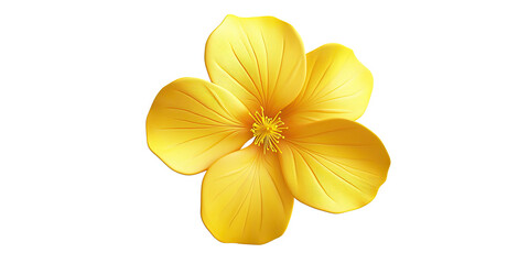 Obraz premium Bright golden hibiscus blossom with delicate petals isolated on white transparent background