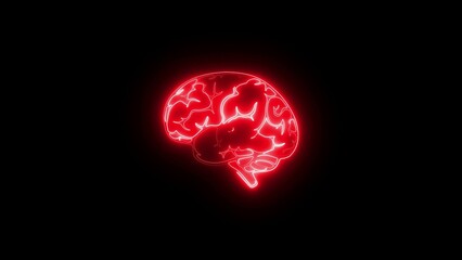 x ray of human brain