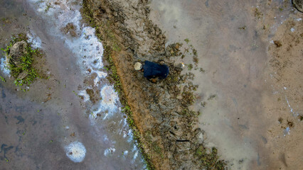 Drone Photography of a Lone Farmer with Hoe in Muddy Paddy Field. Farmer's Toil in Aerial Perspective