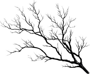 Fototapeta premium Silhouette of bare tree branch against, artistic illustration. Vector illustration