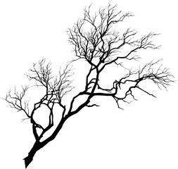Fototapeta premium Silhouetted bare tree branch against. Vector illustration