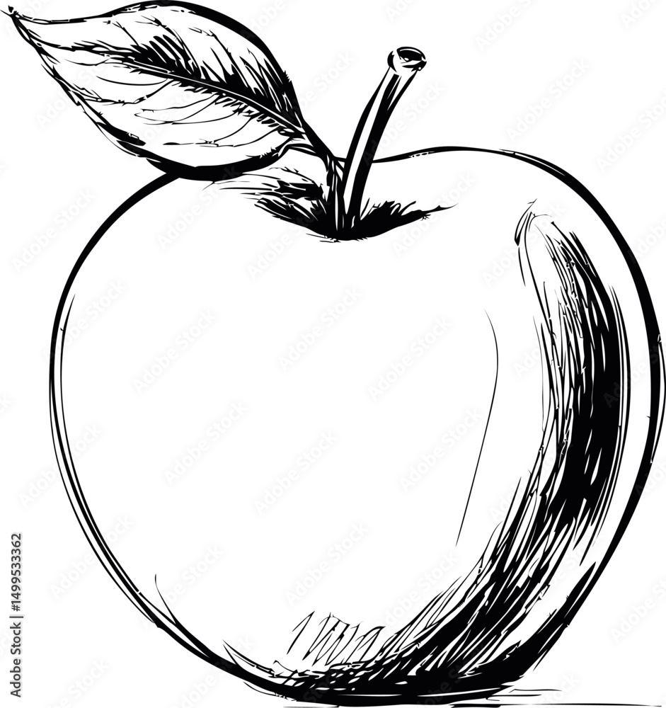 Poster black and white sketch of an apple with detailed leaf in artistic style. vector illustration