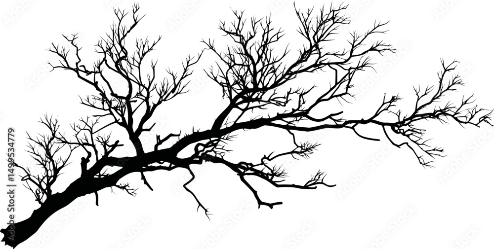 Aufkleber silhouette of a leafless tree branch isolated. vector illustration