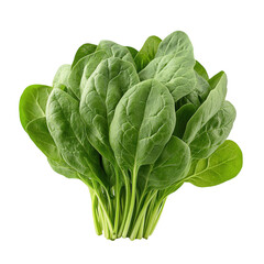 Fresh spinach leaves bunch healthy eating ingredient raw food nutrition on transparent background