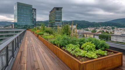 Fototapeta premium Rooftop urban garden with vegetables and herbs in planters on a building in Ljubljana Slovenia