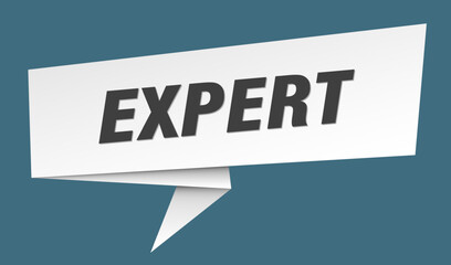 expert banner. expert speech bubble, label, sticker, sign template