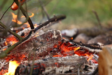 Close-up of burning campfire with glowing embers and flames
