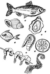 Hand-drawn seafood illustrations including fish, shrimp, and shellfish  