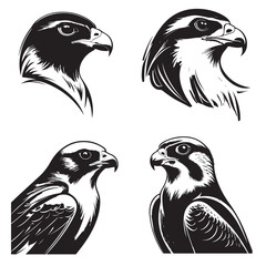 Peregrine Falcon bird face silhouette vector illustration set collection 