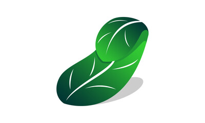 Beautiful curled leaf design vector