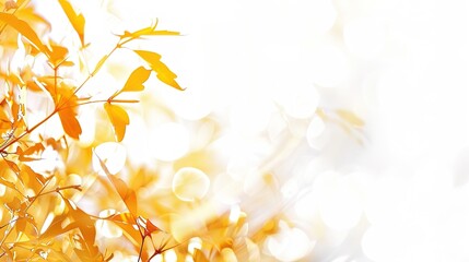 White Background Thanksgiving Background: Modern, Warm, and Visually Appealing for Holiday Celebrations