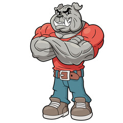 Cartoon illustration of smiling muscular bulldog standing on white background