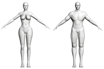 Two figures, one of which is a woman, are shown in a white background. The woman is wearing a bra and has a prominent bust. The man is standing next to her