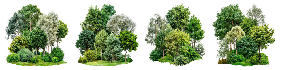 Obraz premium PNG Lush green forest clusters, element set on transparent background