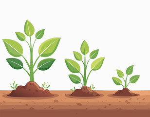 An artistic depiction of a plant growing from seed to full size. The illustration shows clean soil and green leaves in a flat, cartoon style.