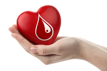hand holding heart Join the Global Movement: Give Blood on World Blood Donor Day