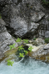 Crystal-clear turquoise water flows through a rocky pool beneath steep cliffs in the Mount Olympus region, surrounded by greenery.
