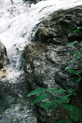 Mountain stream cascading over rocks in Olympus
