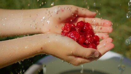 Girl washing fresh raspberries under running water. Kid rinsing juicy and bright red berries in hands. Child cleaning ripe and natural raspberries outdoors