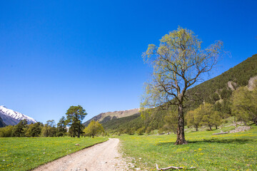 Road in caucasus Mountains spring landscape. Karachay-Cherkessia, Russia