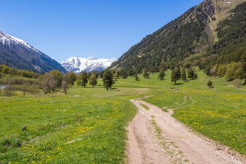 Road in caucasus Mountains spring landscape. Karachay-Cherkessia, Russia