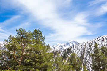 Caucasus Mountains spring landscape. Karachay-Cherkessia, Russia