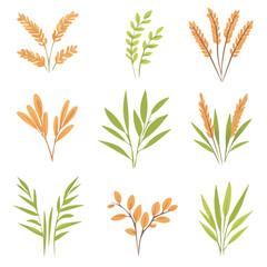 Fototapeta premium My very Simple flat 2D icon, rice grains set isolated on a white background, vector, flat design, animation design, simple flat 2D icon, minimalist design, vector design, eps