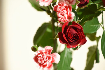 薔薇とカーネーション