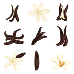 My Simple flat 2D icon vanilla pods set isolated on transparent background, vector, flat design, animation design, simple flat 2D icon, minimalist design, clipart