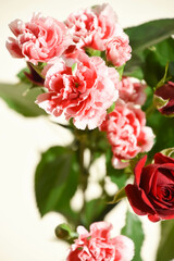 薔薇とカーネーション