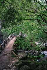 A rustic wooden footbridge crosses a rocky stream surrounded by dense green foliage in the forest of Mount Olympus, Greece.
