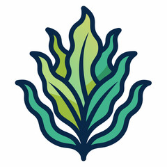 Kelp icon on white background