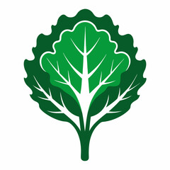 Kale icon on white background