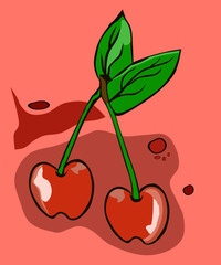 Czereśnia ilustracja © Laura