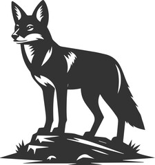 Vector jackal drawing animal silhouette