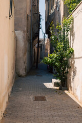 A narrow cobblestone alleyway with aged stone walls, a wooden door, and scattered potted plants. A...
