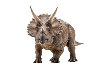 Fototapeta premium Triceratops ohne Hintergrund