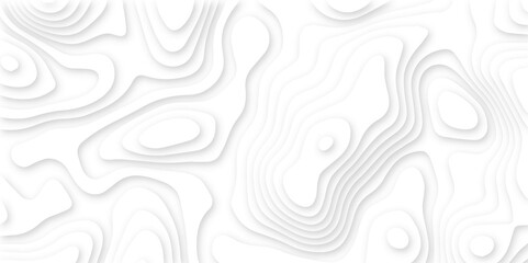 Abstract white paper cut background. 3d papercut topography relief vector background. Topographic canyon geometric map relief texture. Papercut decoration texture with seamless wavy layers.
