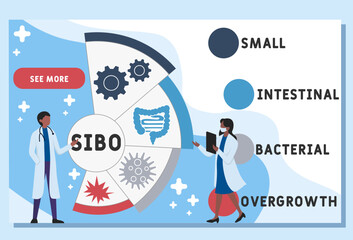 SIBO - Small Intestinal Bacterial Overgrowth acronym. medical concept background. vector illustration concept with keywords and icons. lettering illustration with icons for web banner, flyer, landing