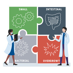 SIBO - Small Intestinal Bacterial Overgrowth acronym. medical concept background. vector illustration concept with keywords and icons. lettering illustration with icons for web banner, flyer, landing