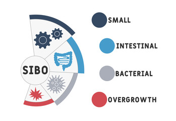 SIBO - Small Intestinal Bacterial Overgrowth acronym. medical concept background. vector illustration concept with keywords and icons. lettering illustration with icons for web banner, flyer, landing