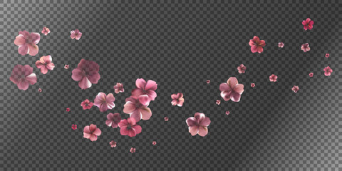 Aroma Cherry blossoms flow. Delicate transparent flowers bg.