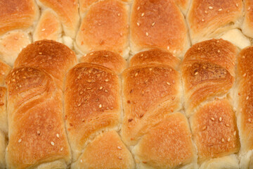 Golden-baked rolls with sesame seeds are arranged closely together in a baking pan