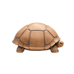 A large tortoise with a thick shell a transparent background nature animal photo close-up realistic concept