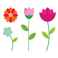 A vector illustration of a beautiful set of pink and yellow spring flowers with delicate petals and leaves