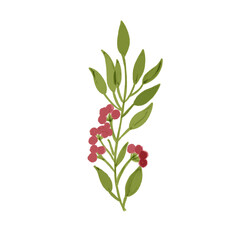 branch of a blossoming cherry