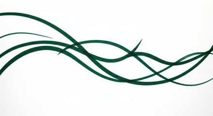 Abstract Green Swirling Lines Elegant Vector Background Design