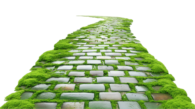 Winding cobblestone path adorned with lush green moss leading into a bright, clear space perfect for nature walks or serene reflections on a sunny day